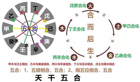 戊戌年五行|戊戌